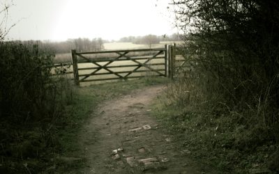 Trauma : Et si ce n’était pas votre identité, mais un chapitre de votre histoire ?